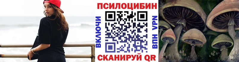 Галлюциногенные грибы Psilocybine cubensis  где купить   Муром 