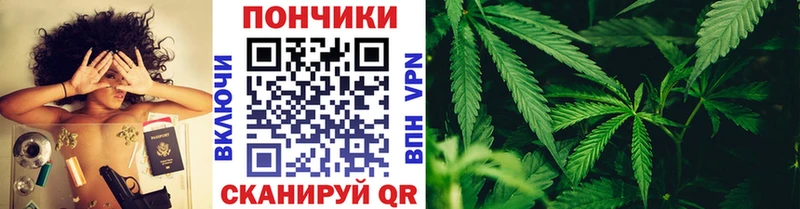 Бошки Шишки THC 21%  Муром 